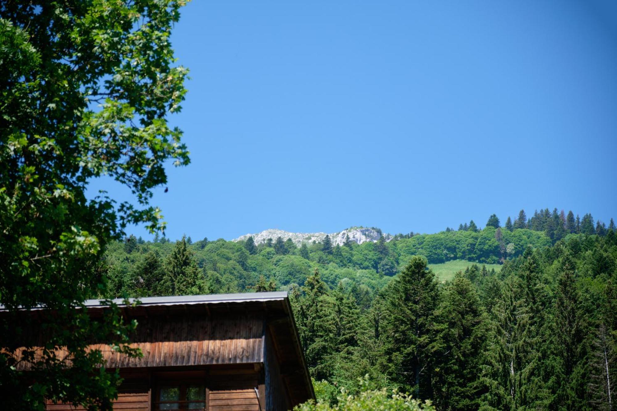 Chalet Le Lys Martagon Saint-Pierre-d'Entremont  Εξωτερικό φωτογραφία